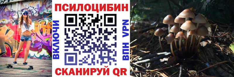 Псилоцибиновые грибы Psilocybine cubensis  Купить где  Лысково 